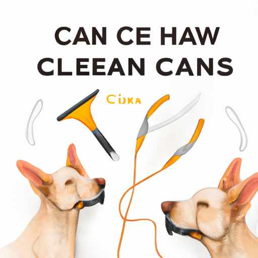 How To Clean Dogs Ears?